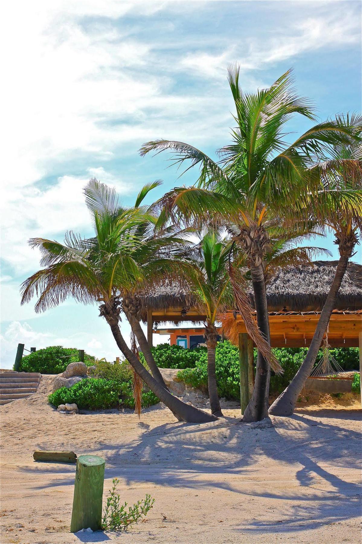 Bimini Sands Resort & Marina Zewnętrze zdjęcie